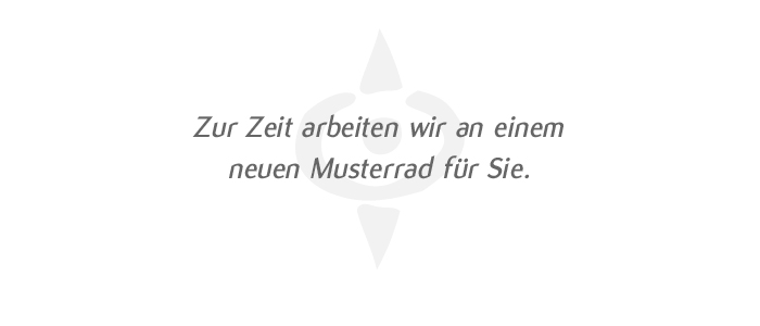 Harald, Maßrahmen, Stahlrahmen, 27,5 Zoll, Shimano Ausstattung